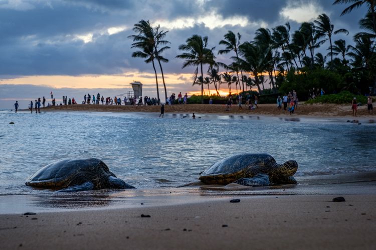 Kauai