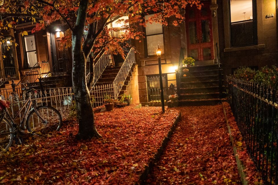 Brooklyn Fall